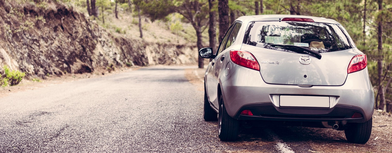 ProSecur Fahreignung